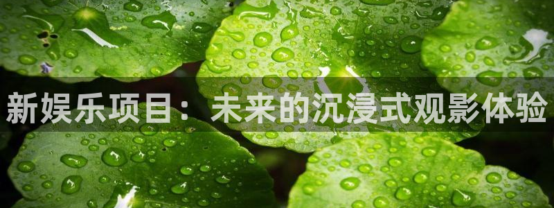汇富娱乐平台官网版下载：新娱乐项目：未来的沉浸式观影体验