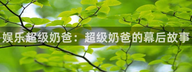 汇富娱乐平台官网入口：娱乐超级奶爸：超级奶爸的幕后故事