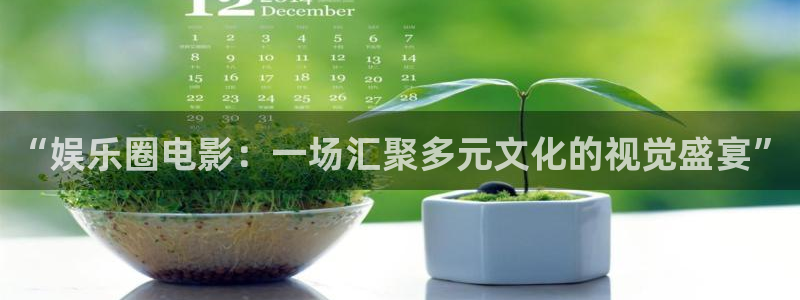 汇富娱乐2体育登录入口：“娱乐圈电影：一场汇聚多元文化的视觉盛宴”