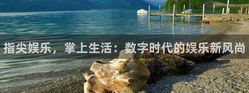 汇富娱乐是大平台吗：指尖娱乐，掌上生活：数字时代的娱乐新风尚