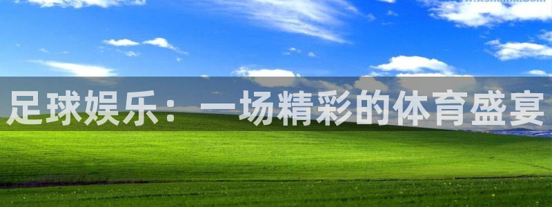 汇富娱乐哪个游戏好爆：足球娱乐：一场精彩的体育盛宴