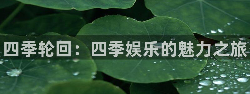 汇富娱乐加拿大：四季轮回：四季娱乐的魅力之旅