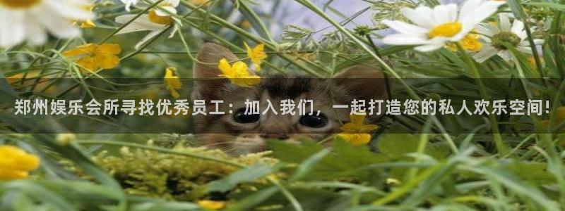 汇富娱乐电子游戏：郑州娱乐会所寻找优秀员工：加入我们，一起打造您的私人欢乐空间!