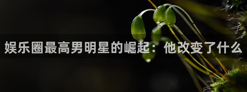 汇富娱乐链接：娱乐圈最高男明星的崛起：他改变了什么