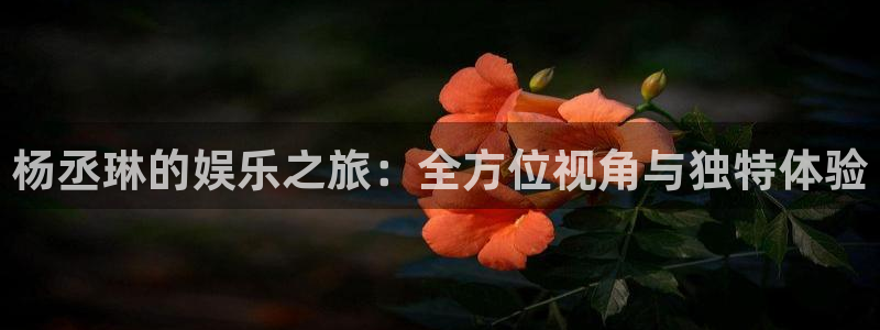 汇富娱乐注册：杨丞琳的娱乐之旅：全方位视角与独特体验