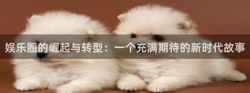 汇富娱乐电子游戏：娱乐圈的崛起与转型：一个充满期待的新时代故事