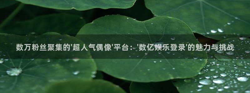 汇富娱乐在线下载：数万粉丝聚集的\'超人气偶像\'平台：\'数亿娱乐登录\'的魅力与挑战