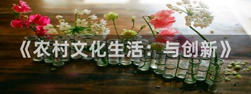 汇富娱乐账号注册入口：《农村文化生活：与创新》