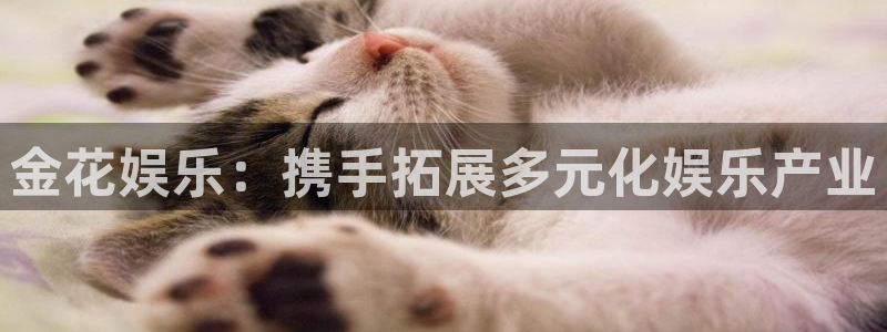 上海汇富娱乐汽车电子有限公司：金花娱乐：携手拓展多元化娱乐产业
