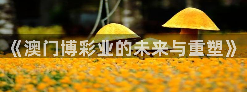 汇富娱乐5：《澳门博彩业的未来与重塑》