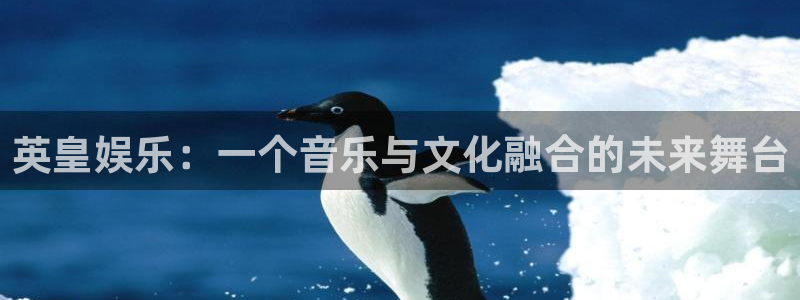 南宫汇富娱乐官网版：英皇娱乐：一个音乐与文化融合的未来舞台