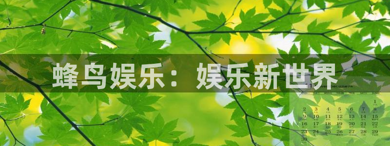 汇富娱乐体育注册：蜂鸟娱乐：娱乐新世界