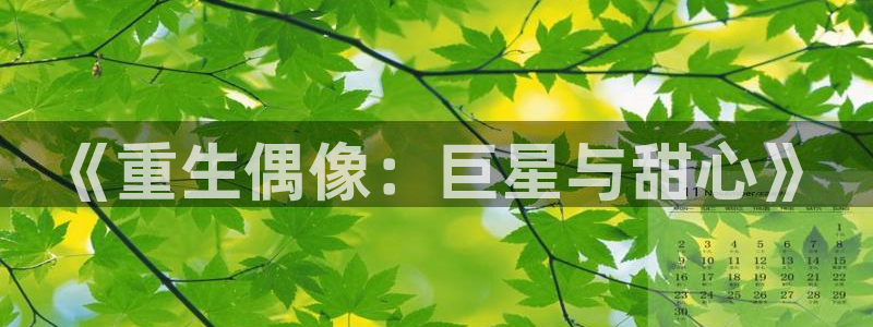汇富娱乐体育用品：《重生偶像：巨星与甜心》