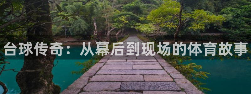 汇富娱乐体育凯捷平台主管：台球传奇：从幕后到现场的体育故事